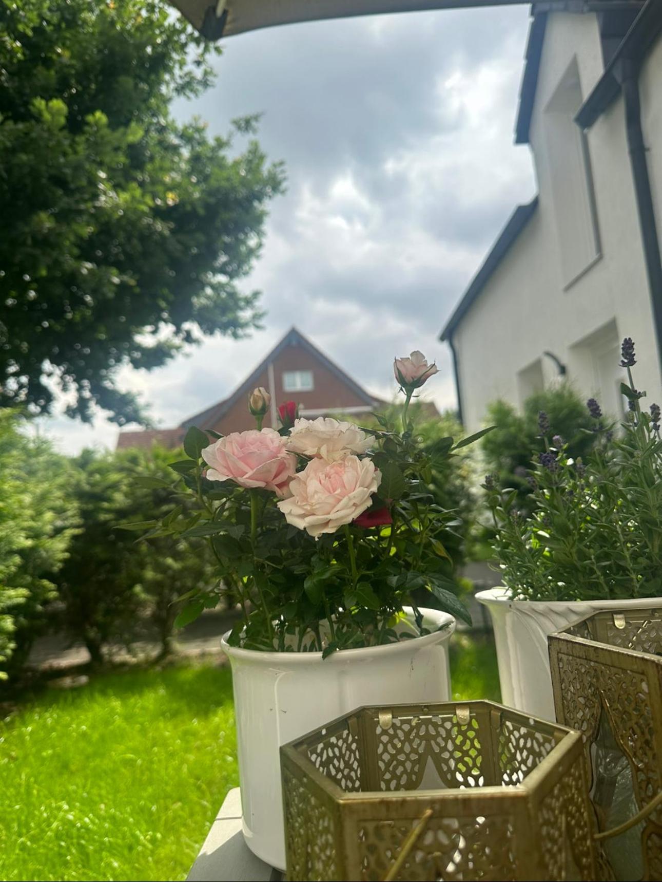 Deluxe Mit Terrasse Apartment *
